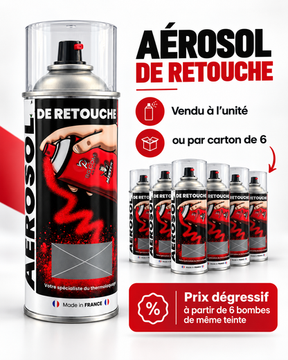 Bombe Aérosol Peinture De Retouche 400 ml | Mister Paint - BG COM AGENCY Mister Paint