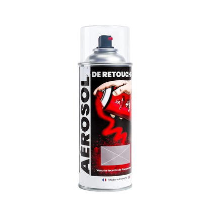 Bombe Aérosol Peinture De Retouche 400 ml | Mister Paint - BG COM AGENCY 